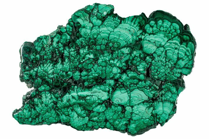 Flowery Polished Malachite Slab - DR Congo #302477